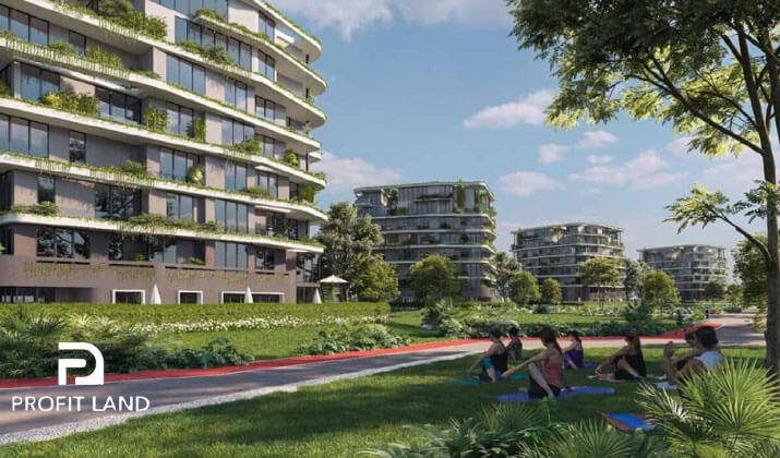 The Land Developments 