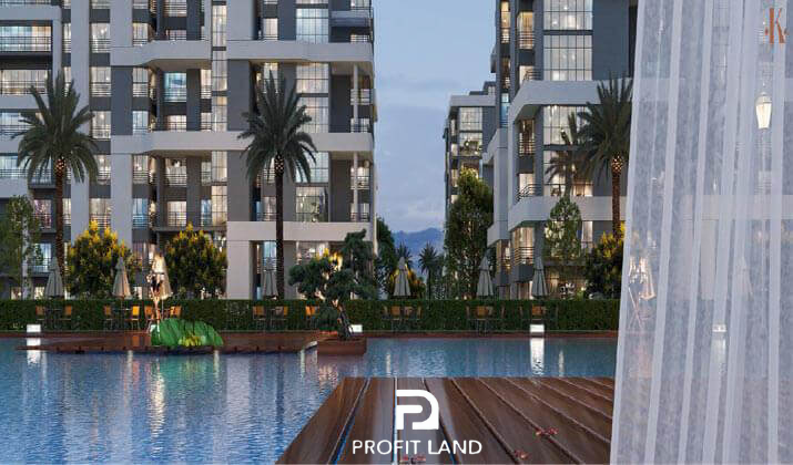 Capital Link Developments