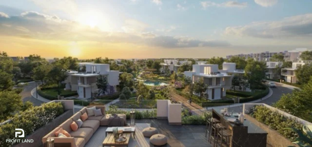 Paragon Developments