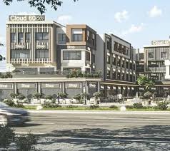 MNG Developments
