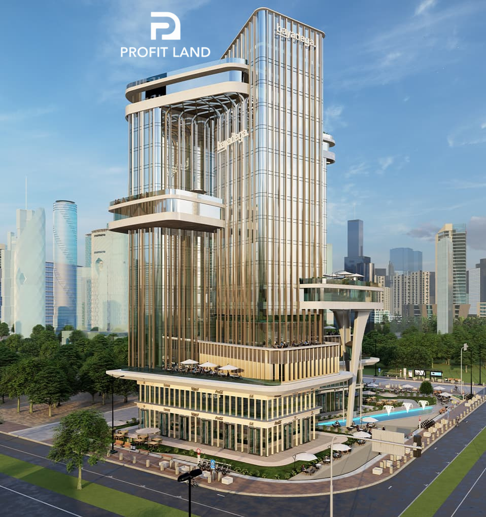 Skyway Development