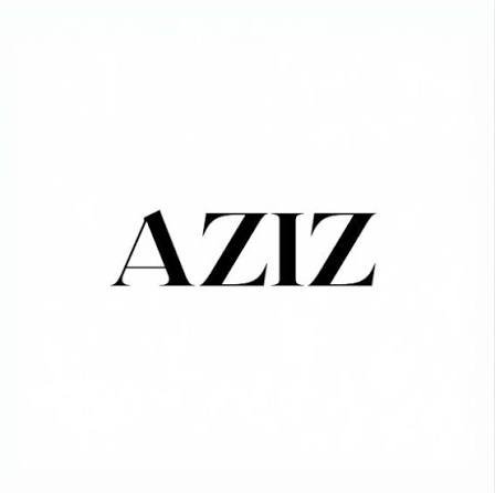 Aziz Properties

