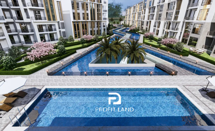 TED Developments