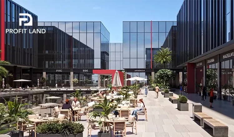Sckylers Development
